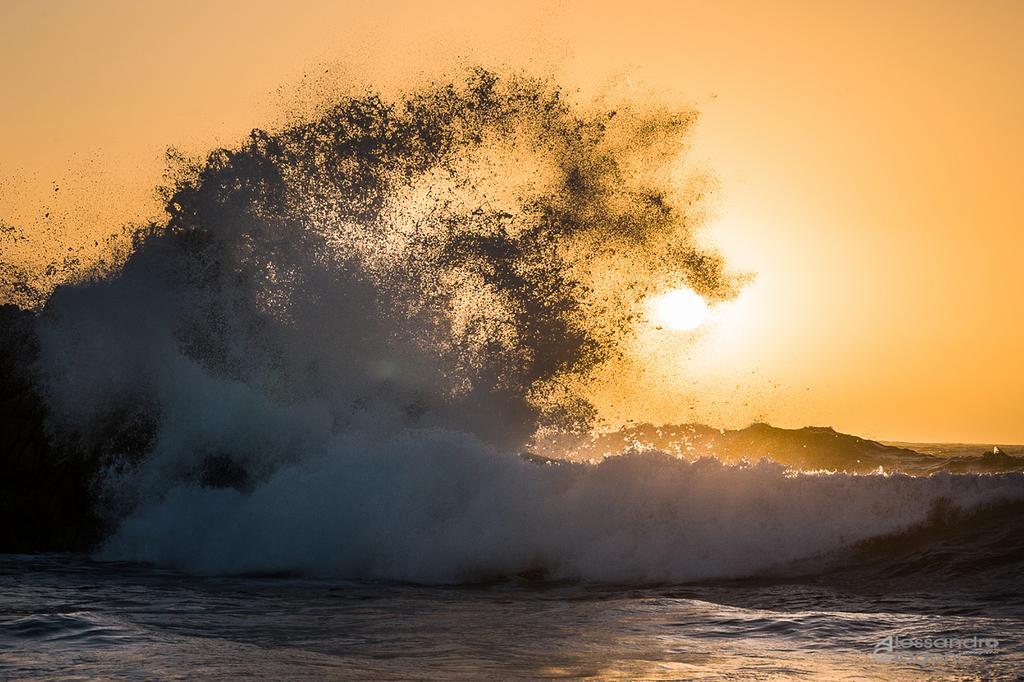 الشقق الفندقية بورتو بولوفي  Residenze L'Isola Surf House المظهر الخارجي الصورة